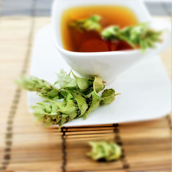 Sage (One Bunch) - 2