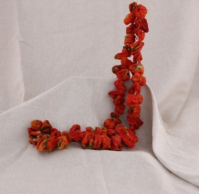 Dried Bell Pepper (50 pcs) 