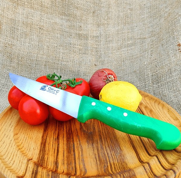 Steel Blade - 26 Cm Plastic Handle - 1