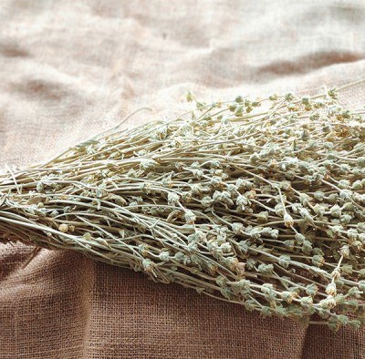 Mountain Tea - 1 Vineyard