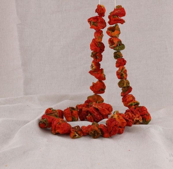 Dry Bitter bell Pepper (50 pieces) - 2