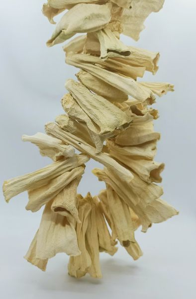 Bond 50 Dry Zucchini 1 Bell - 2