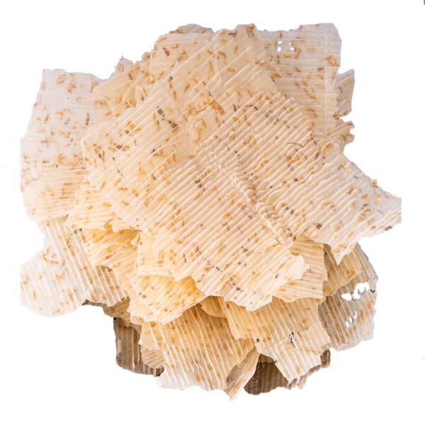 Haşiroğlu Çerezlik Tarhana 2 Kg - 2