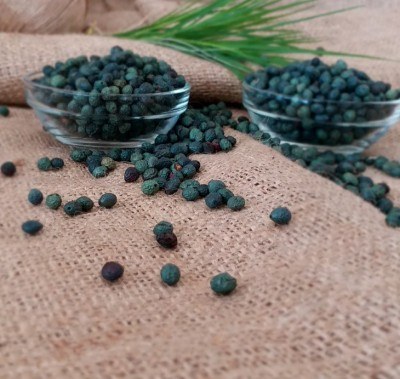 Menengiç Tane - 250 Gr. - 2