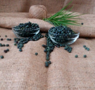 Menengiç Tane - 250 Gr. - 4