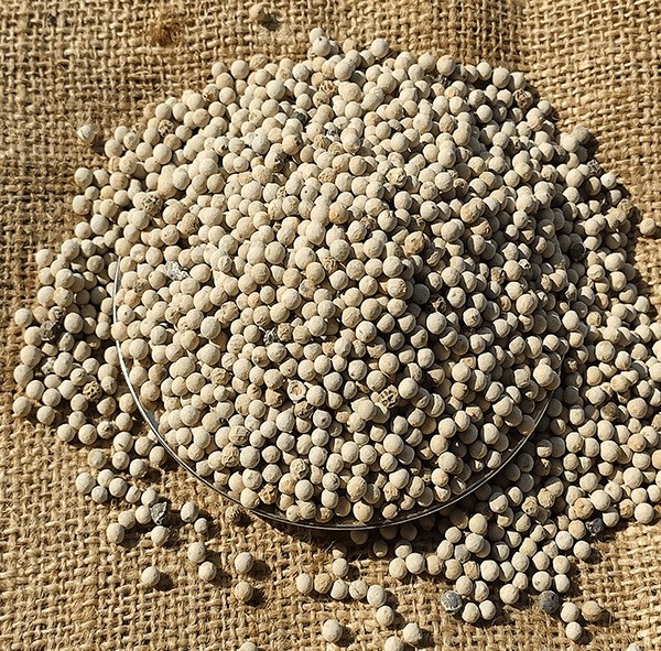 White Black Pepper - 100 Gr - 1